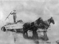  horse and wagon collecting water from the Columbia River for delivery around 1912